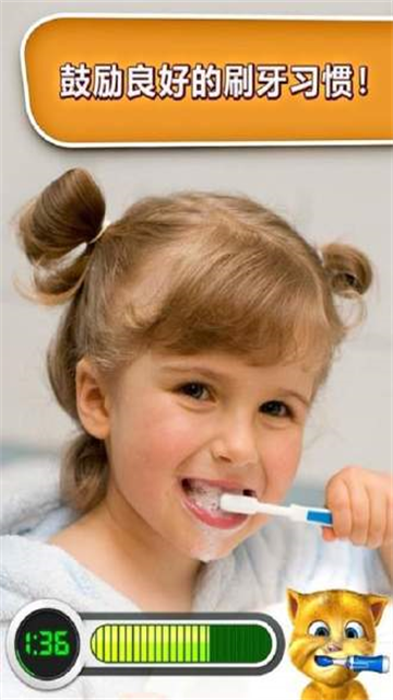 会说话的金杰猫游戏