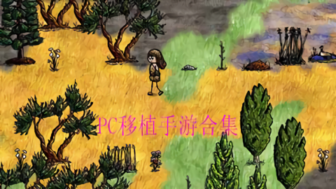 古墓丽影2移植版
