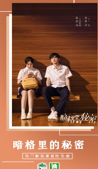 晋江小说阅读2022最新版