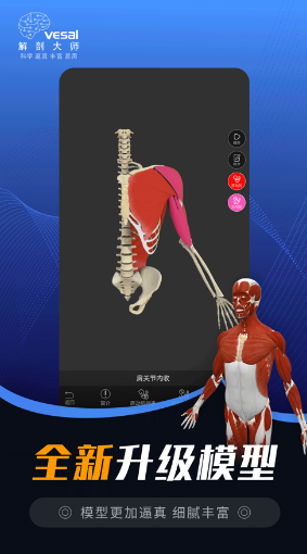 解剖大师APP免费版下载