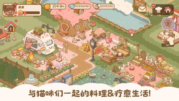 猫咪的厨房日记