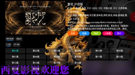 西夏CatBox影视app免费最新版
