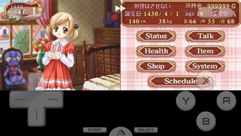 美少女梦工厂4 DS特别版