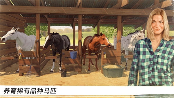 家族传奇马匹养成竞技安卓版