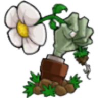 植物大战僵尸cl版下载