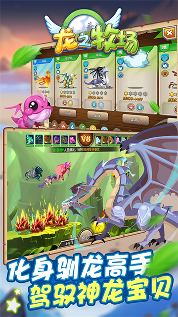 育龙高手小米版