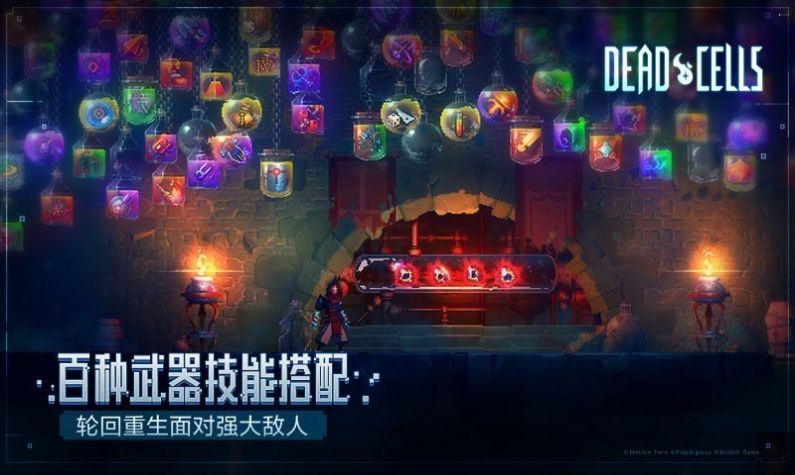 死亡细胞
