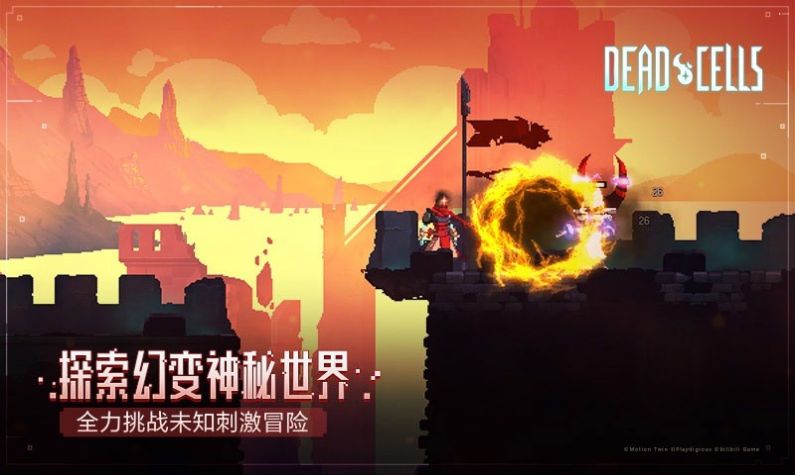 死亡细胞