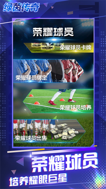 绿茵传奇华为版