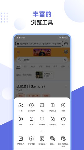 狐猴浏览器app官方版下载(Lemur Browser)