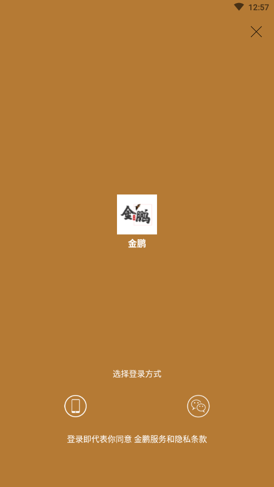 金鹏转发平台app官方版下载 v1.0.0