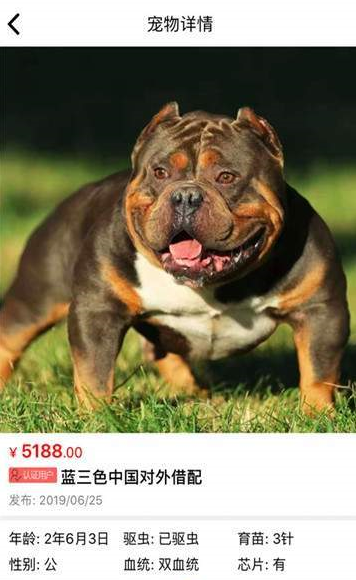 猫行狗市app安装官方版 v4.0