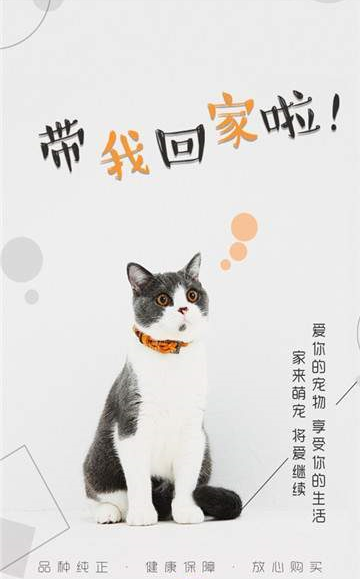 猫行狗市app安装官方版 v4.0