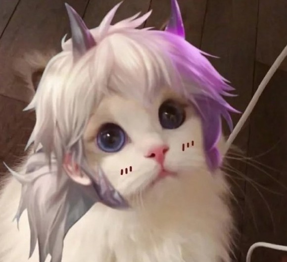 王者荣耀猫咪接头头像制作APP免费版 v1.0.0