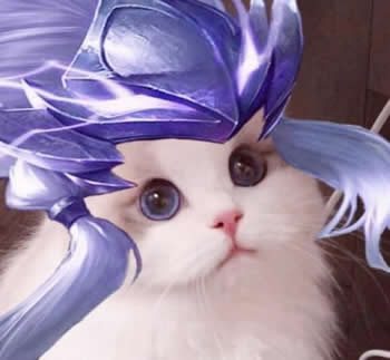 王者荣耀猫咪接头头像制作APP免费版 v1.0.0