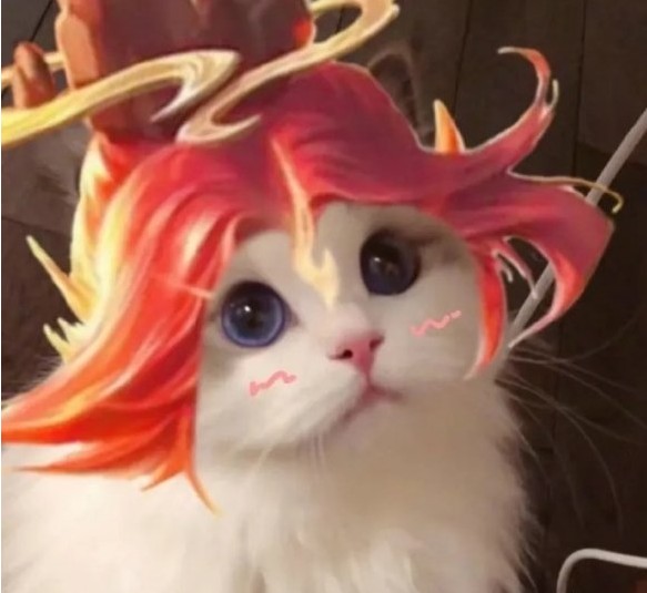 王者荣耀猫咪接头头像制作APP免费版 v1.0.0