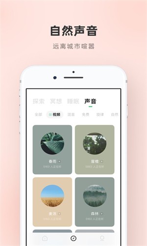 潮汐最新版