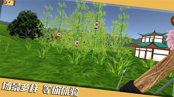 靶心射击最新版本中文