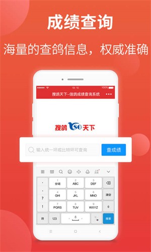 赛鸽头条