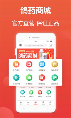 赛鸽头条