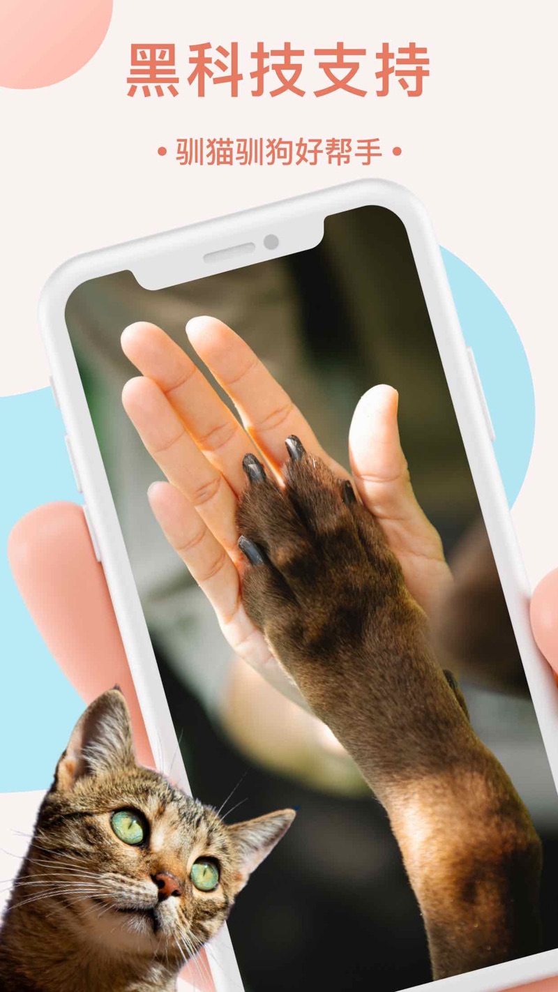 猫语翻译器app苹果版下载