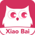 小白网巴士官方下载最新版
