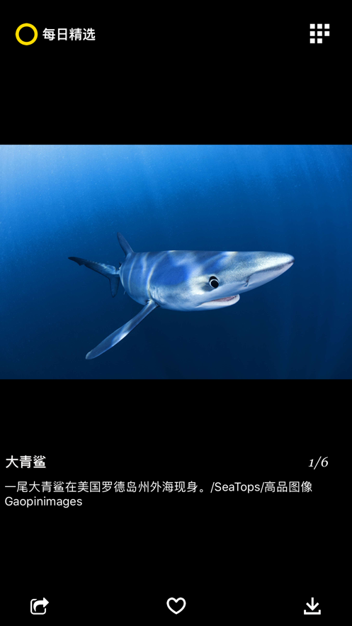 每日精选