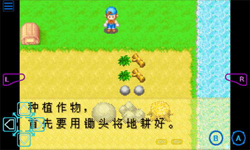 牧场物语矿石镇的伙伴们金手指