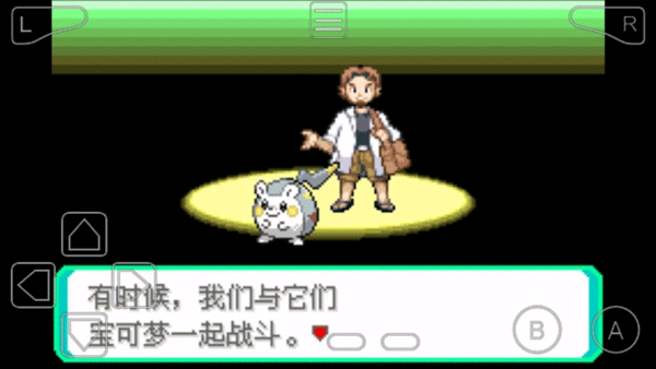 究极绿宝石5.5中文版