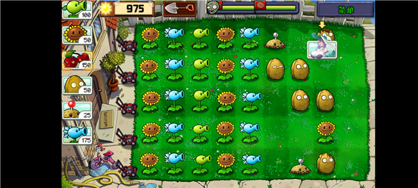 植物娘大战僵尸庄不纯最新版