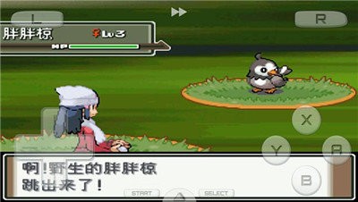 口袋妖怪白金金手指