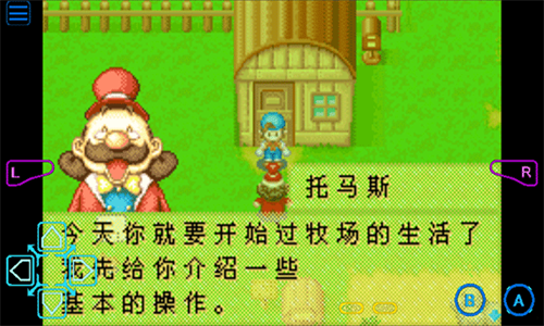 牧场物语矿石镇的伙伴们金手指