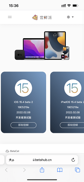 ibeta尝鲜派ios17官方版