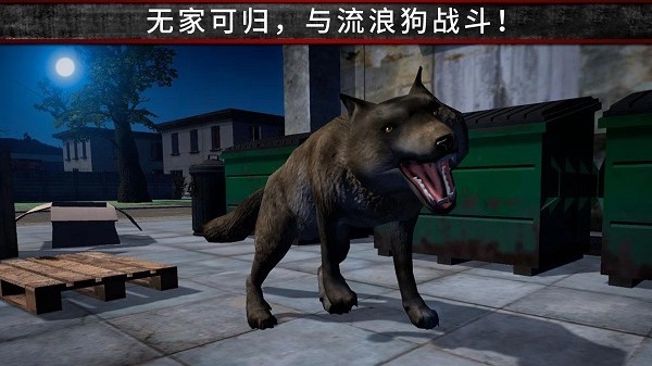 荒野流浪记官方正版