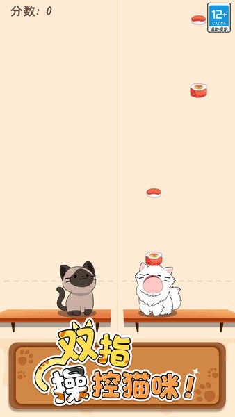 空灵音符游戏安卓版下载