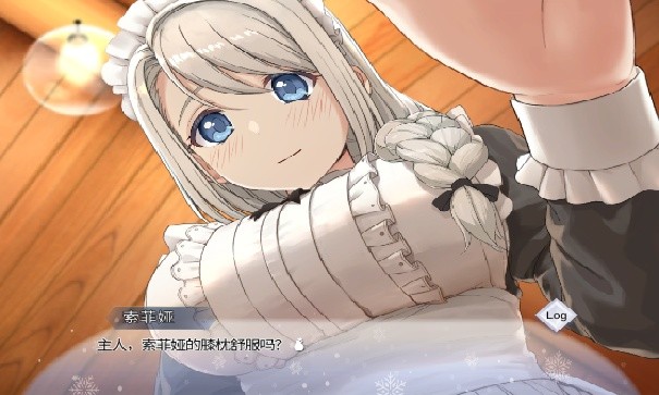 我与索菲亚的秘密汉化版