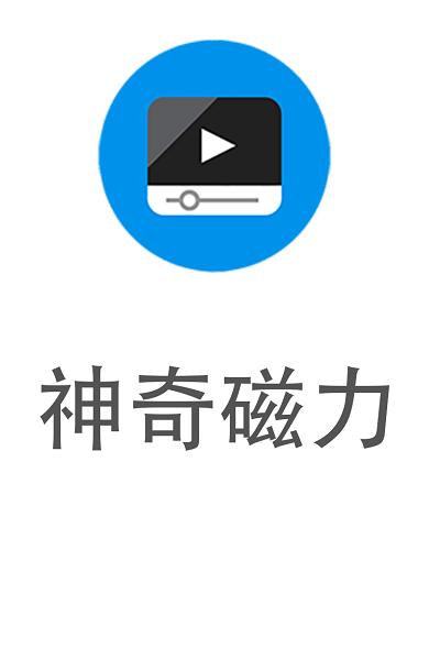 神奇磁力专业版