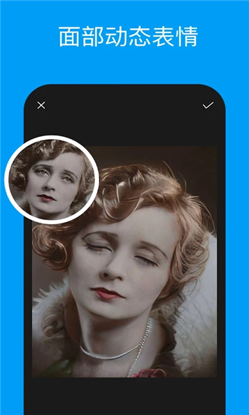 PixeLeap图片处理app免费版下载