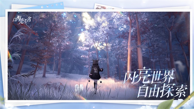 以闪亮之名国服