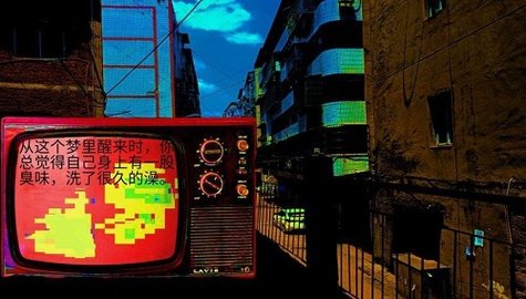 变成鸟的那一天下载安装手机版