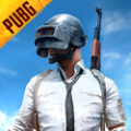 绝地求生刺激战场体验服pubg下载
