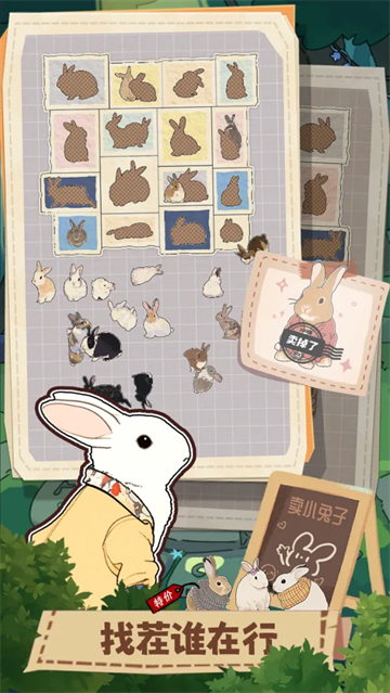 挤在一起的兔兔