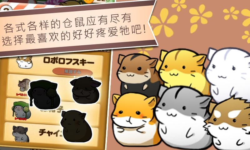 仓鼠的日常国际服这些年