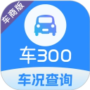 车300专业版