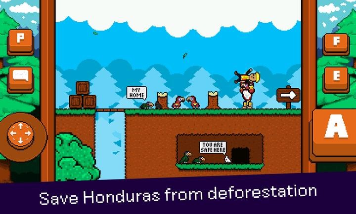 最后的金刚鹦鹉完整版