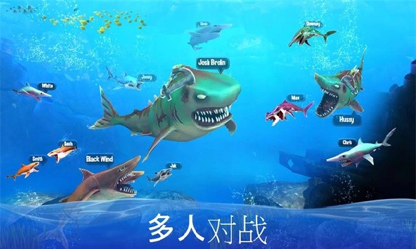 双头鲨游戏