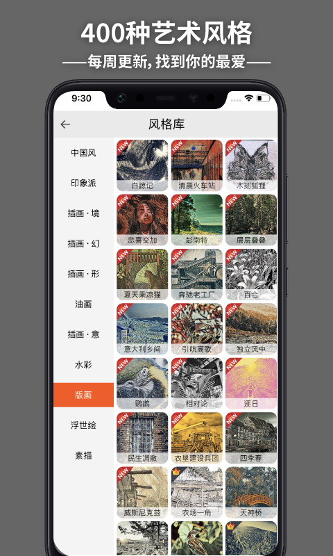造画