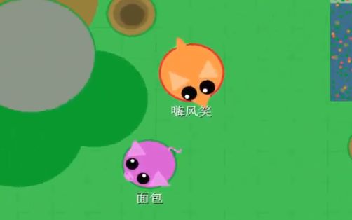 动物大作战免2025版安装
