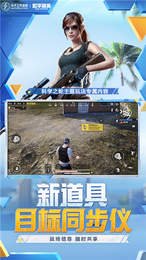 和平精英防火墙