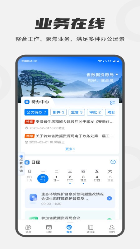 皖政通软件